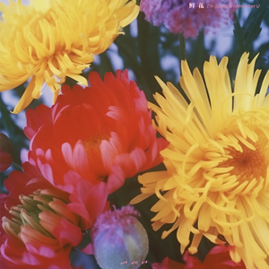 臭鸡蛋弱网过检测防封
